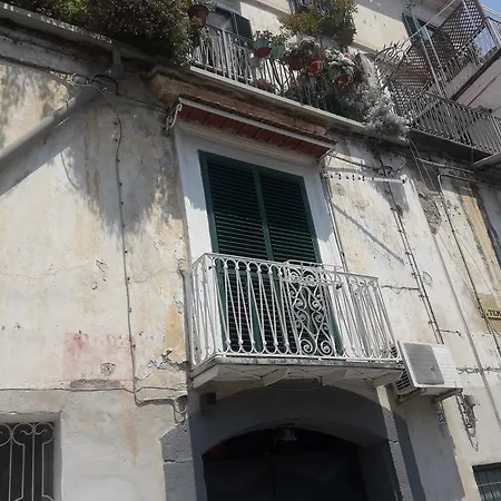 Verdi's House